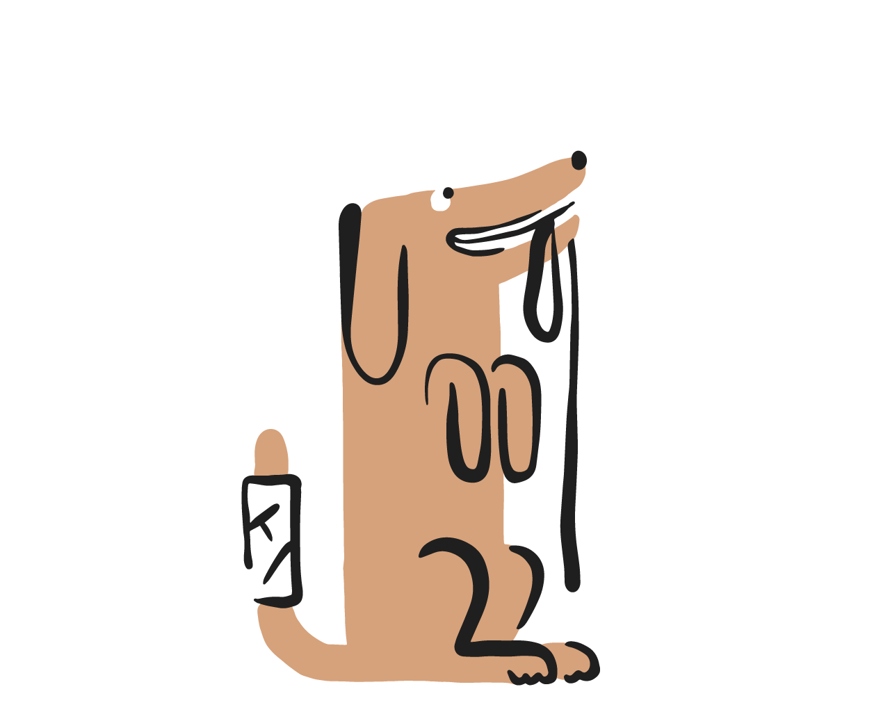 Pet Secur Hond zittend